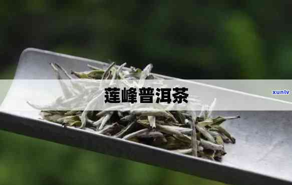 莲花峰茶是什么做的，揭秘莲花峰茶的 *** 原料，让你了解这款茶叶的来源和特点