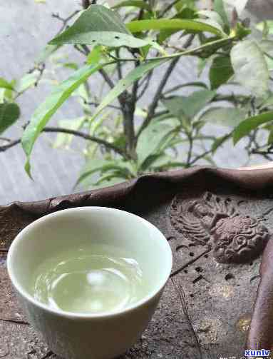 泡茶茶杯里老是有悬浮物？是不是茶叶不干净呢？