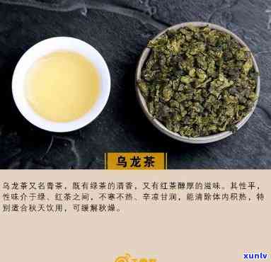 鸟十年念茶价格-鸟十年念茶价格 十年