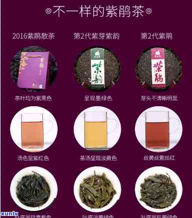 鸟十年念茶价格-鸟十年念茶价格 十年