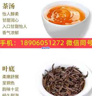 中茶7542有几款，「解答」中茶7542普洱茶一共有多少种？这里有答案！