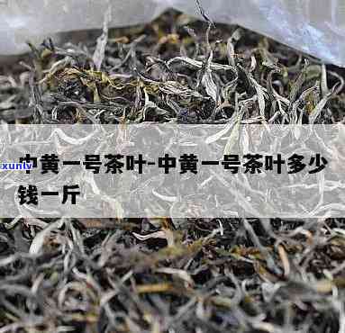 中黄3号茶叶：价格、特点全解析