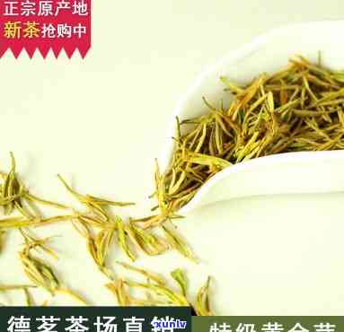 龙游中黄3号茶价格-龙游黄茶中黄3号价格