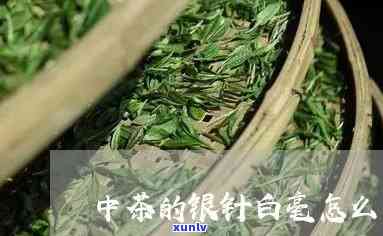 中茶白毫银针怎么样-中茶白毫银针怎么样好喝吗