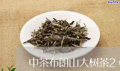 中茶布朗山大树茶：从2000年到2012年的精选回顾