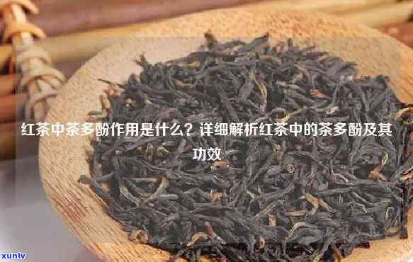 红茶中茶多酚衍生物-红茶中茶多酚衍生物主要有