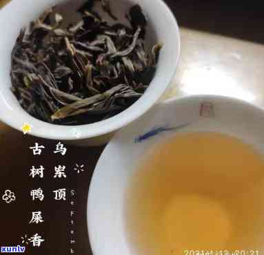 凤凰单丛鸭屎香：红茶or绿茶？特点及品鉴