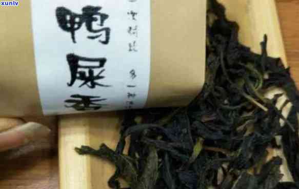 凤凰单丛鸭屎香：红茶or绿茶？特点及品鉴