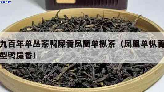 中茶凤凰单丛鸭屎香-凤凰单丛茶 鸭屎香