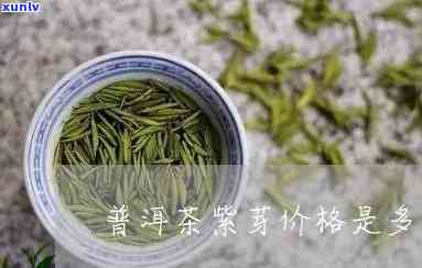 紫芽茶价格：多少钱一斤？最新行情解析