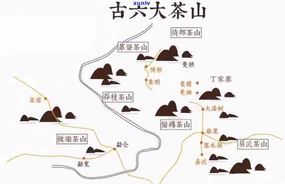 澜沧古茶属于哪个山头？详解其产地及特点