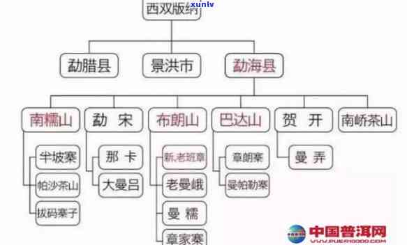 澜沧古茶28座山头-澜沧古茶28座山头特点