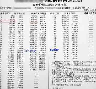 平安代位追偿多久可以拿到钱，平安代位追偿：多久能收到赔偿金？