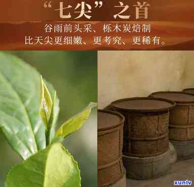 白沙溪5301芽尖茶价格及特点介绍：深入了解这款湖南名茶