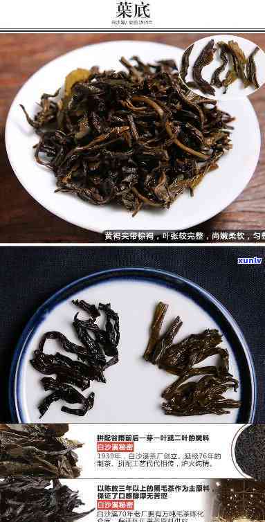 白沙溪5301芽尖茶价格及特点介绍：深入了解这款湖南名茶