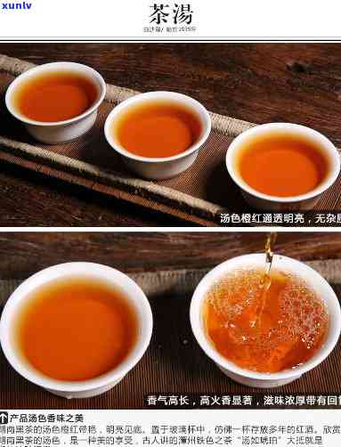 5301芽尖茶价格-白沙溪5301芽尖茶价格