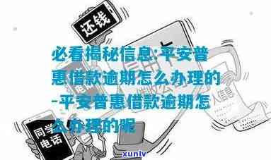 平安普借钱逾期怎么办？解决方案及解决步骤全解析