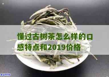 懂过古树的口感特点-懂过古树的口感特点有哪些