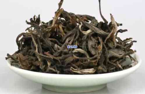 澜沧古茶是什么茶种？探究其所属类别与特点