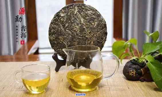 澜沧古茶什么茶，探究品质：澜沧古茶的顶级茶叶推荐