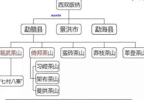 澜沧古茶：产地、品种与企业全揭秘