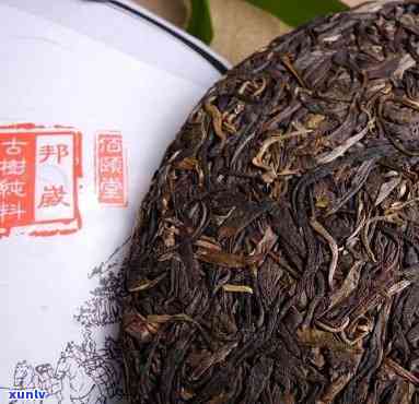 澜沧古茶属于什么茶-澜沧古茶属于什么茶类