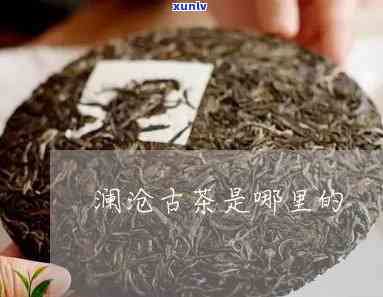 澜沧古茶属于什么茶-澜沧古茶属于什么茶类