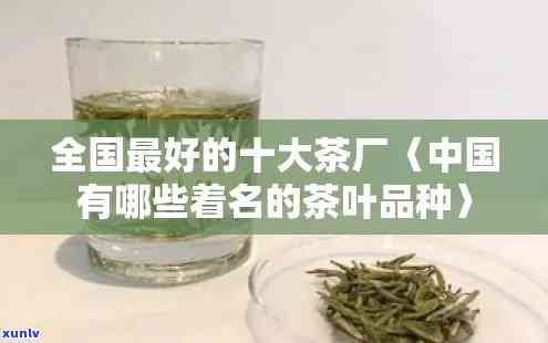 中茶现在有什么茶厂出名？了解中茶旗下的知名茶厂