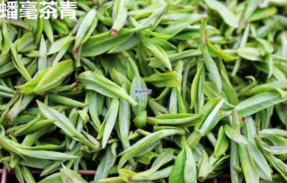 临海蟠毫茶精品价格表最新汇总