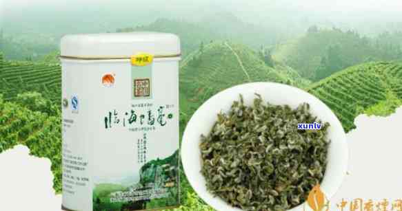 临海蟠毫茶精品价格-临海蟠毫茶精品价格表