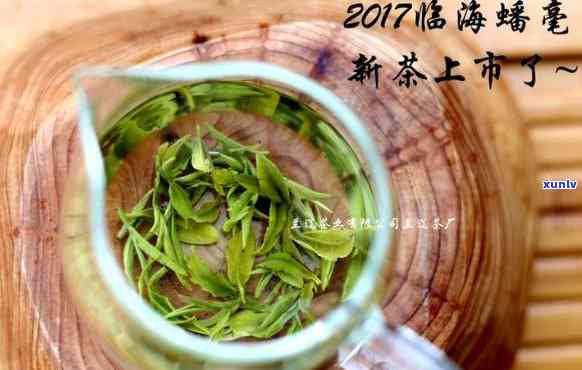 临海蟠毫茶精品价格-临海蟠毫茶精品价格表