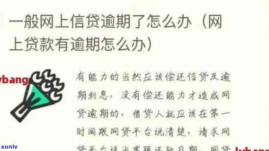 上海  贷款逾期怎么办？解决方案全解析