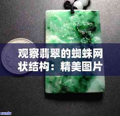 解构假翡翠：揭示其蜘蛛网般的内部结构及辨认 *** 