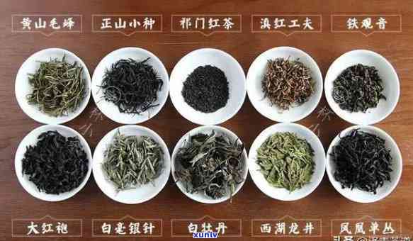 泡茶的茶叶有哪些，全面解析：泡茶的茶叶种类及其特点