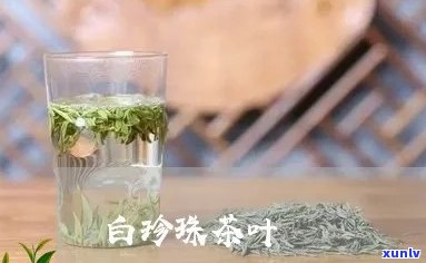 白珍珠茶价格是多少-白珍珠茶多少钱一斤