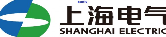 上海电气逾期最新-上海电气5月30日公告