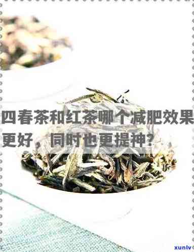 四春茶：真的能帮助减肥吗？效果如何？