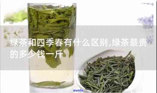 四春茶的热量高吗-四春茶的热量高吗能减肥吗