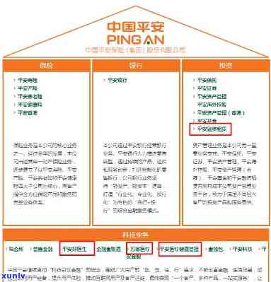 平安世公司怎么样，深度解析：平安世公司的业务表现和市场评价