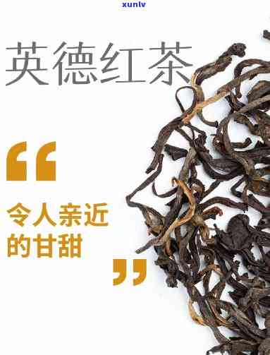 英德红茶的历文化-英德红茶历文化教案中班