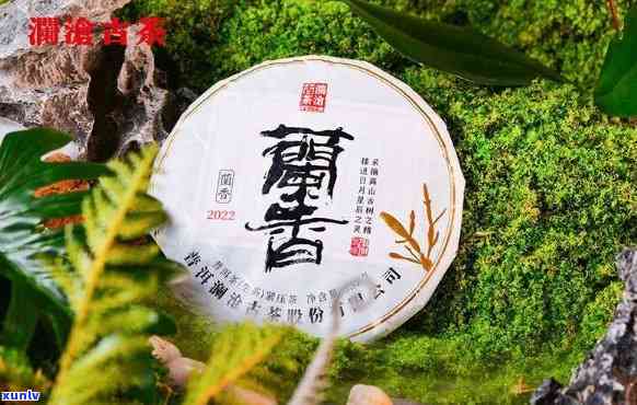 澜沧古茶也香多少钱-澜沧古茶兰香价格