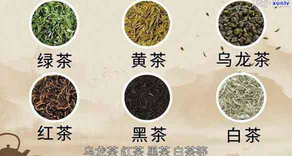 茶的分类以及怎么分-茶的分类以及怎么分类