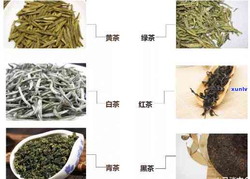 茶的分类以及怎么分-茶的分类以及怎么分类