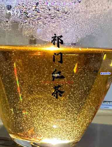 门红茶的历文化研究，探秘门红茶：历文化的研究与传承