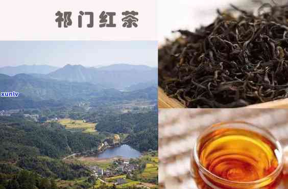 探寻门红茶历传说：故事与背景