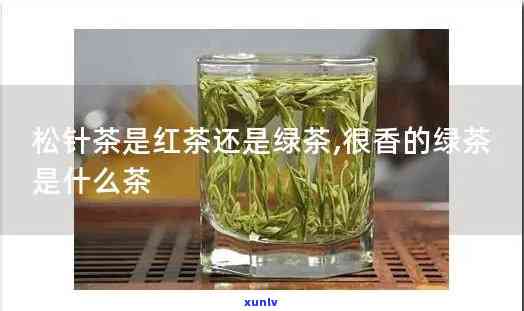 松针红茶是什么茶？详解其功效与作用