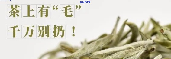 毛毛茶是新生儿喝的么，毛毛茶适合新生儿饮用吗？