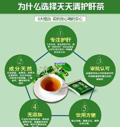 天天清护肝茶价格表全览：多少钱一盒？