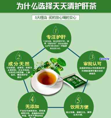 天天清护肝茶价格表及功效作用全解析