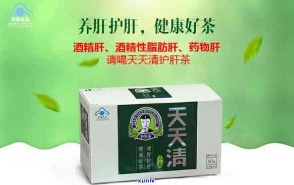 天天清护肝茶的价格-天天清护肝茶价格表